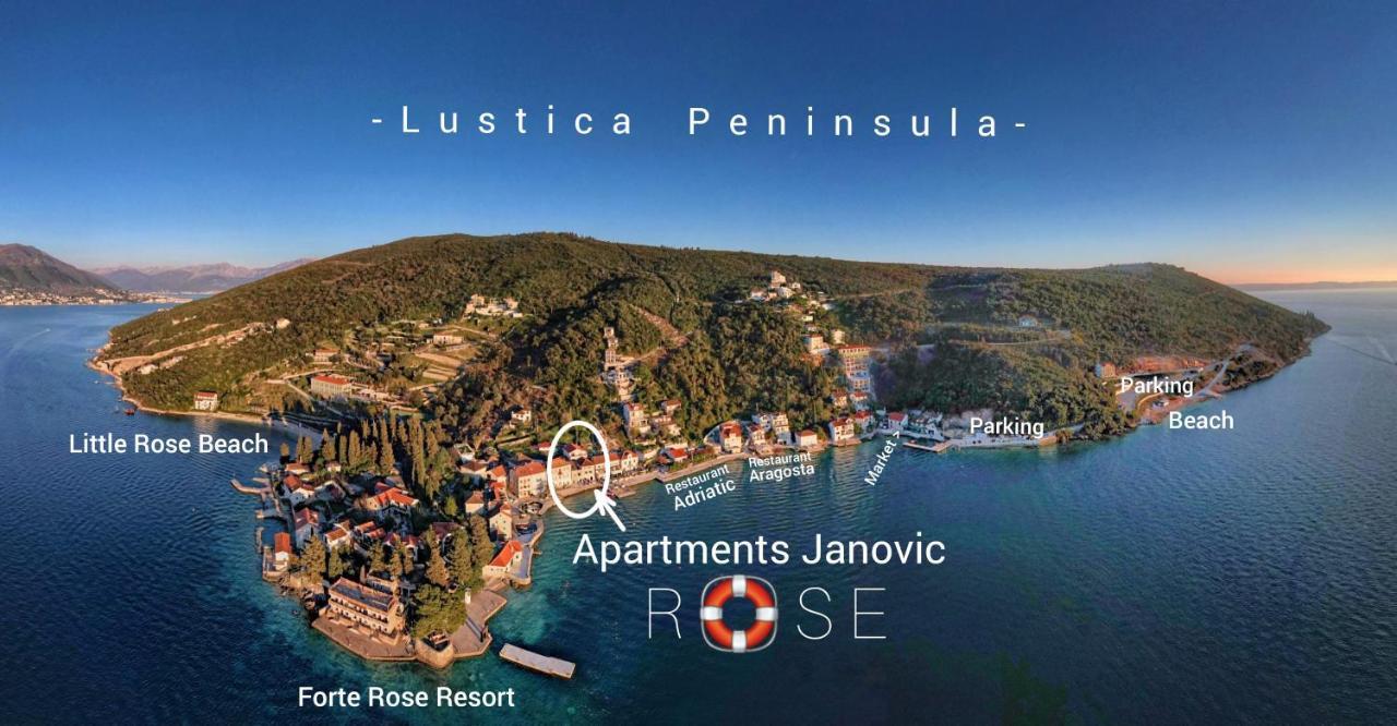 Rose - Apartmani Janovic Lustica Exterior photo